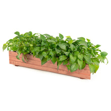 Load image into Gallery viewer, Outdoor Raised Garden Bed Fir Wood Elevated Flower Herbs Planter Growing Box
